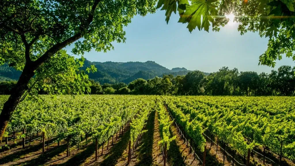 Property Lawyer Valence Spain
