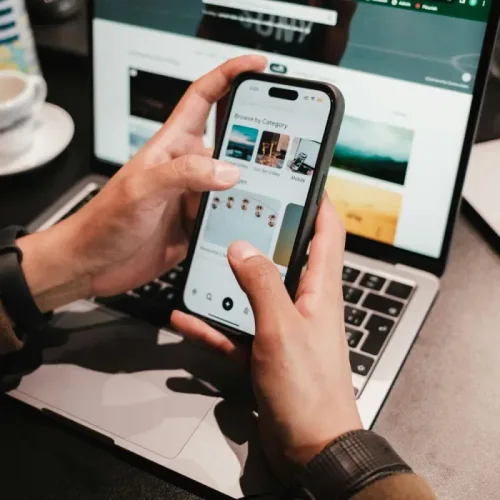 Professional online store development